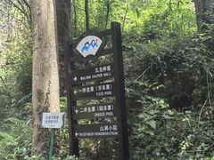 -宁波五龙潭景区