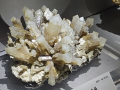 -湖南省地质博物馆