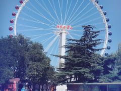 -朝阳公园游乐园