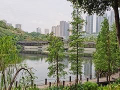 -重庆彩云湖湿地公园