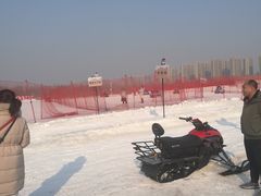 -丁香湖丁香小镇Citypark滑雪公园戏雪嘉年华