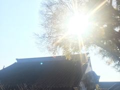 -八珍手工水饺·妈妈的爱(传芳巷店)