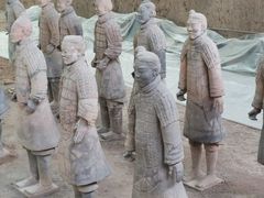 -秦始皇帝陵博物院-丽山园