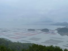 -花竹村