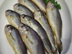 -77号渔船·蒸海鲜青岛菜(积米崖店)