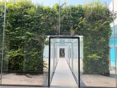 -金泽21世纪美术馆