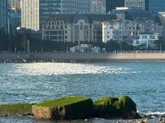 -青岛第三海水浴场