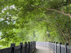 -白帝城·瞿塘峡景区