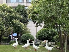 -长安先导国际创新人才交流中心