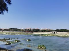-集美学村