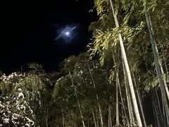 -江南天池高山汤泉城