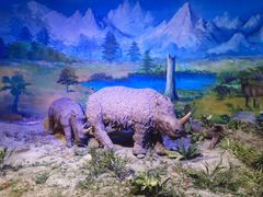 -中国第四纪冰川遗迹陈列馆