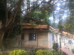 -厦门鸿山寺