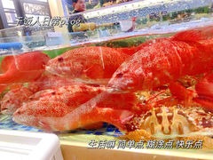 -欧记·龙城港(欣都龙城店)