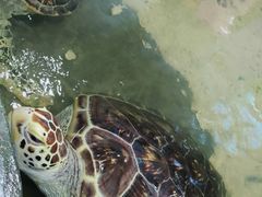 -嘉兴海底世界