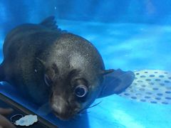 -成都浩海立方海洋公园