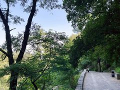 -泰山风景名胜区