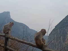 -白帝城·瞿塘峡景区