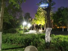 -天鹅湖体育公园