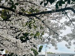 -川沙古镇-停车场