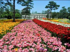 -沈阳植物园