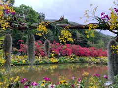 -深圳仙湖植物园