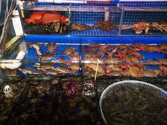 -京深海鲜市场(光彩路店)