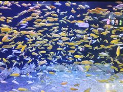 -成都浩海立方海洋公园