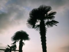 -白塘生态植物园