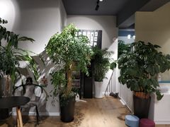 -东方名猫馆·英短金渐层布偶猫舍(环线广场1号楼店)