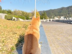 -密印寺