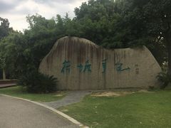 -荷塘月色湿地公园·向阳花洲
