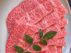 -然锅料理