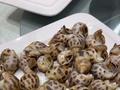 -华盛丰温州大排档(东三环南路店)