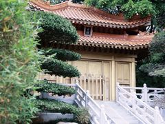 -深圳国际园林花卉博览园