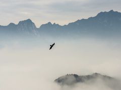 -秦岭风景区
