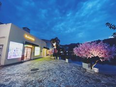 -必胜客(大梅沙8号仓店)