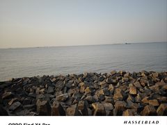 -上海滨江森林公园