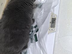-瑞派宠物医院·24h·骨外科·皮肤科·全科宠物医疗转诊中心(沈阳浑南院)