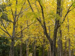 -白塘生态植物园