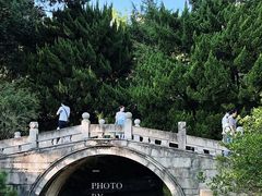 -上海醉白池公园