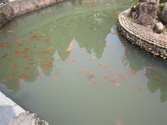 -玉苍山国家森林公园