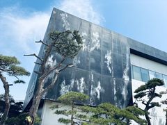 -罗红摄影艺术馆