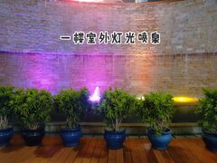 -星巴克臻选(中山石岐大信新都汇店)