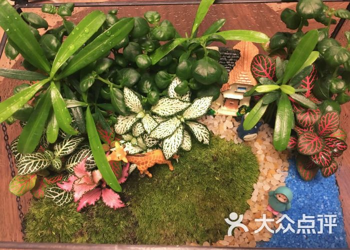 小浣熊的花花草草(长楹天街店)图片 - 第3张