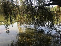 -人民公园(罗湖区)