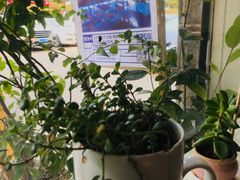 -武夷山旧街壹号溪岸旅馆(三姑度假区店)