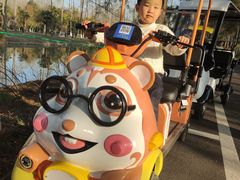 -合肥滨湖国家森林公园