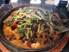-老板恋上鱼(振华商厦店)