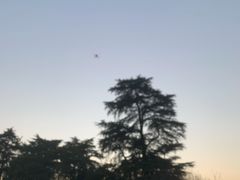 -浙江西子宾馆·牡丹厅